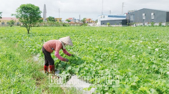 Mặt trận Tổ quốc các cấp với Cuộc vận động “Người Việt Nam ưu tiên dùng hàng Việt Nam”