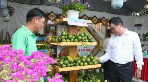 Đà Nẵng: Phiên chợ nông sản hướng ứng Cuộc vận động Người Việt Nam ưu tiên dùng hàng Việt Nam