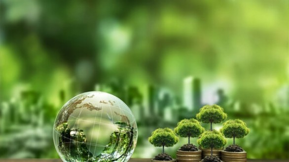 Từ chuẩn bị đến triển khai: Doanh nghiệp trước ngưỡng vận hành thị trường carbon