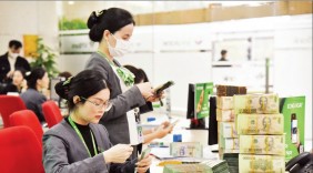 Doanh nghiệp nội địa tăng tốc 'Xanh hóa' sản xuất để tận dụng tín dụng ưu đãi năm 2026