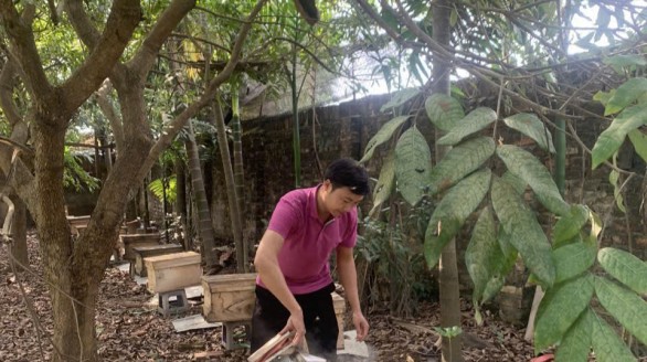 Khẳng định thương hiệu nông sản sạch từ sản phẩm OCOP