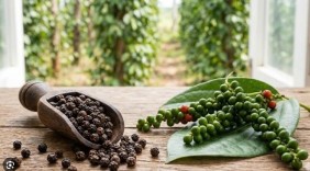 Việt Nam tiếp tục dẫn đầu nguồn cung hồ tiêu cho Đức