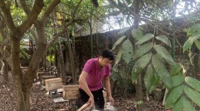Khẳng định thương hiệu nông sản sạch từ sản phẩm OCOP