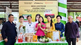 Lạng Sơn thúc đẩy tiêu thụ na và nông sản chủ lực qua thương mại điện tử