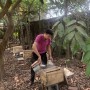Khẳng định thương hiệu nông sản sạch từ sản phẩm OCOP