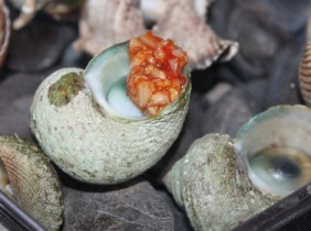 Ốc mặt trăng giòn ngọt thơm ngon