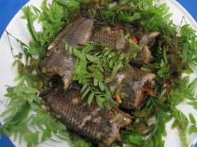 Cá rô mề kho rau răm Châu Đốc, món ngon không thể bỏ qua