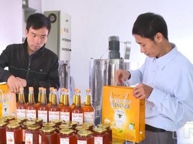 HTX sản xuất mật ong Hưởng Hoa phấn đấu sản phẩm mật ong vươn ra thế giới