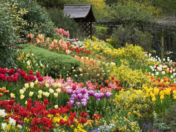 Chiêm ngưỡng trăm hoa đua sắc ở vườn hoa Minh Tâm Đà Lạt